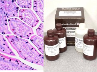 VitroView™ Alcian Blue - PAS Stain Kit