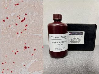 VitroView™ Alizarin Red Stain Kit