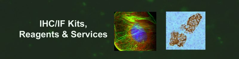 Immunohistochemistry Kits