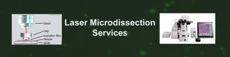Laser Microdissection Service