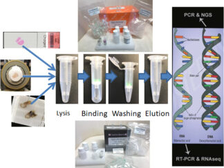 DNA/RNA Isolation Kits for FFPE and Frozen or Fresh Samples