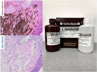 VitroView™ Rapid Melanin Bleach Kit for Tissue Sections