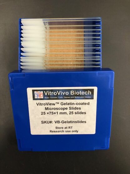 VitroView™ Gelatin-coated Microscope Slides (25 ×75×1 mm), 25 slides