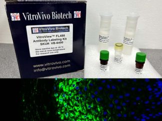 VitroView™ FL488 Antibody Labeling Kit (Green, for 2×100 μg antibody)