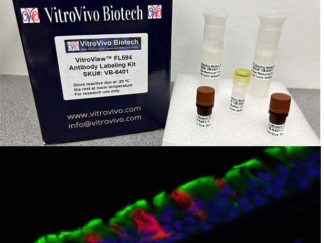 VitroView™ FL594 Antibody Labeling Kit (Red, for 2×100 μg antibody)
