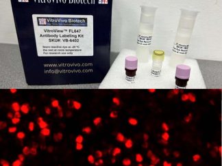 VitroView™ FL647 Antibody Labeling Kit  (Far Red, for 2×100 μg antibody)