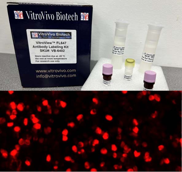 VitroView™ FL647 Antibody Labeling Kit (Far Red, for 2×100 μg antibody)