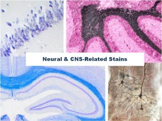 Neural & CNS-Related Stains