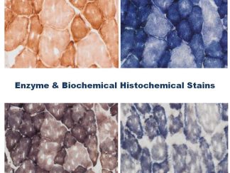 Enzyme & Biochemical Histochemical Stain Kits