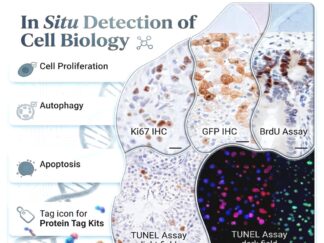 In Situ Detection of Cell Biology