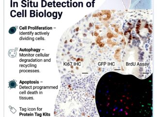 In Situ Detection of Cell Biology