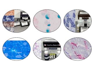 Enzyme Histochemical Stain Kits