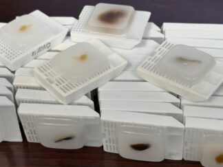 Mouse Heart Tissue (Normal) Paraffin Sections (1 section/slide, 5 slides/package) (SKU# MsPS-C57m9wHeart)