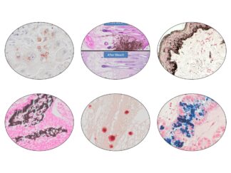 Pigment, Mineral & Metal Stain Kits