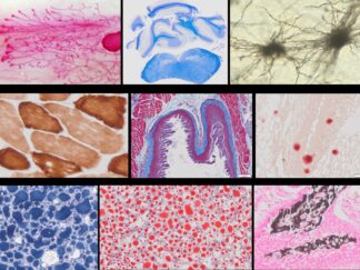 Histochemical Stain Kits
